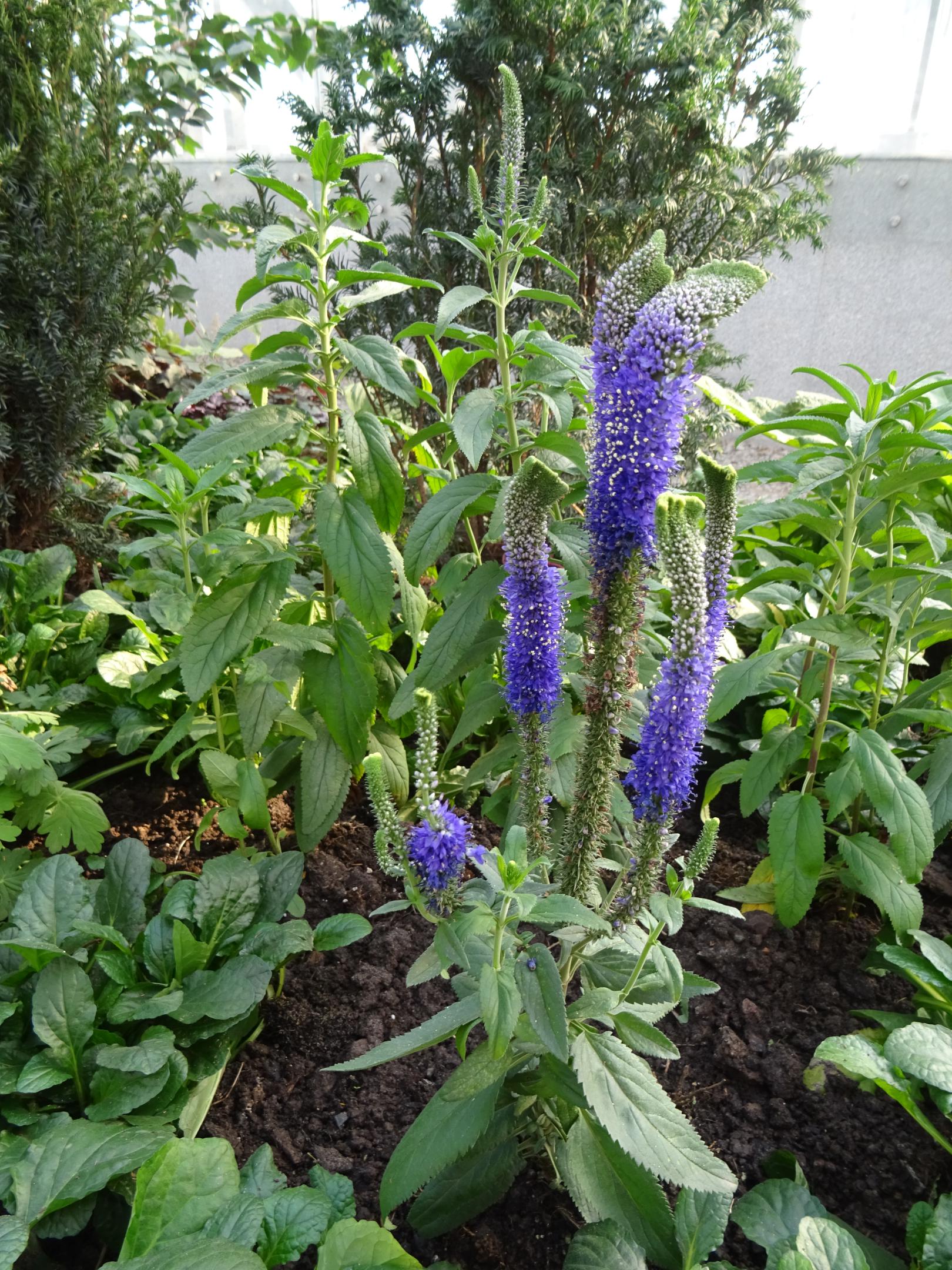 2018-1044
