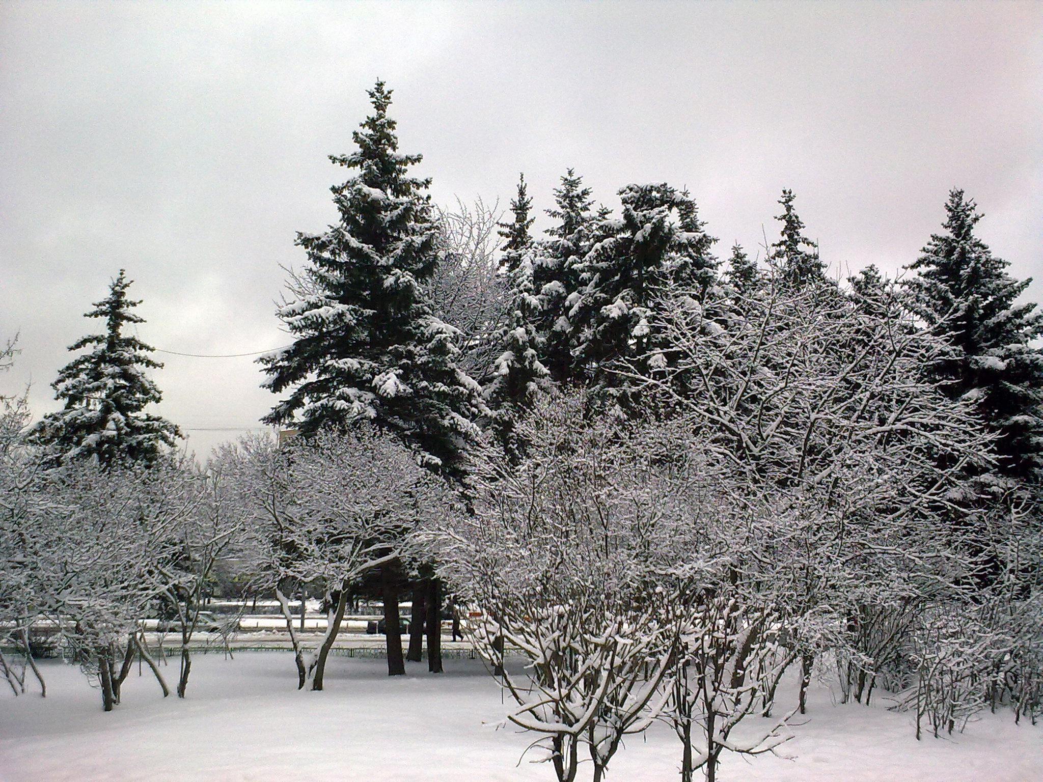 2009-0041