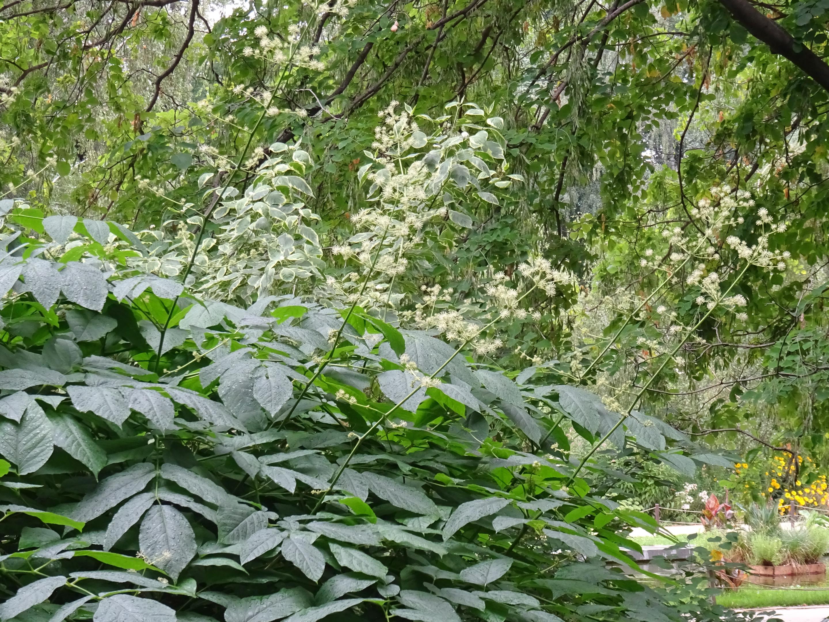 2018-0799